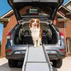Happy Ride Telescoping Dog Ramp Deluxe -Goedkope Dierenwereld XL winkel 729849168985 4