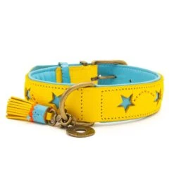 Dog With A Mission Halsband Blue Star -Goedkope Dierenwereld XL winkel 8720195177760 2