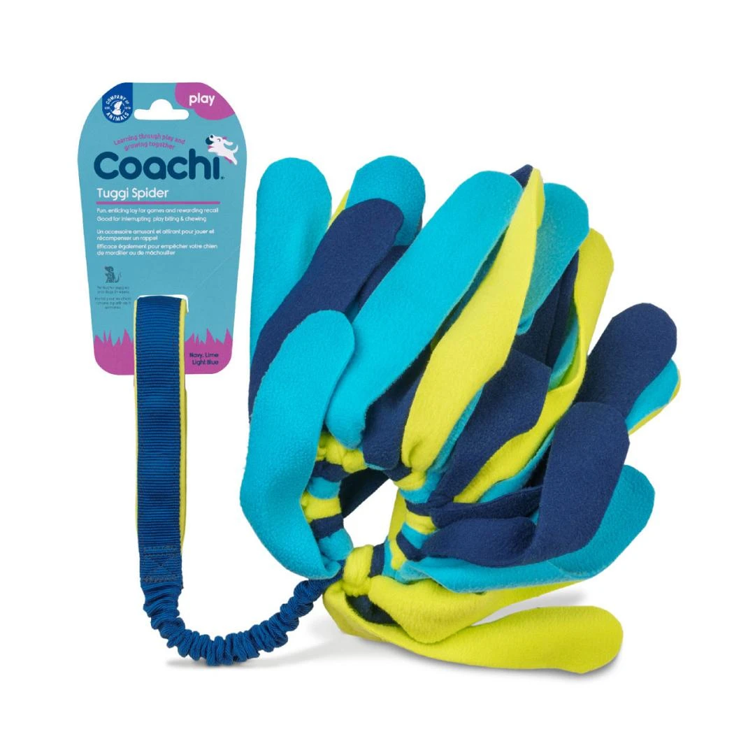 Coachi Tuggi Spider 1 Coachi Tuggi Spider