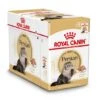 Royal Canin Kattenvoer Persian Adult 12 X 85 Gr