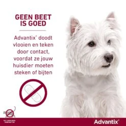 Advantix 100 6 Pipetten 7 Advantix 100 6 Pipetten -Goedkope Dierenwereld XL winkel Advantix geenbeetisgoed 6