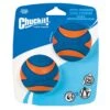 Chuckit! Ultra Squeaker Ball M 2 St