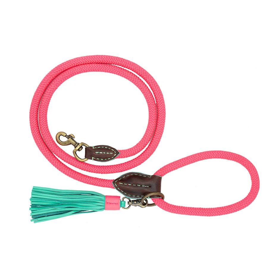 Dog With A Mission Hondenlijn Sugar Babe 1 Dog With A Mission Hondenlijn Sugar Babe