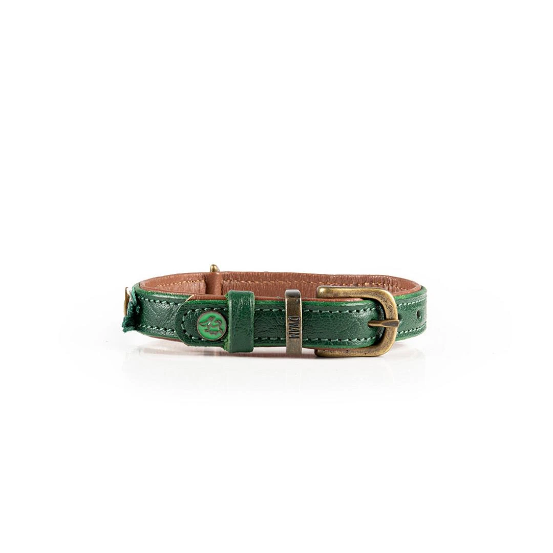 Dog With A Mission Halsband Ivy 4 Dog With A Mission Halsband Ivy - Afbeelding 4