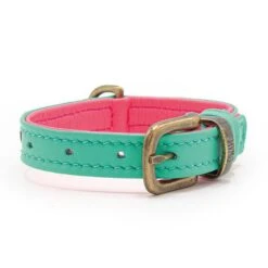 Dog With A Mission Halsband Bella XXXS 5 Dog With A Mission Halsband Bella XXXS -Goedkope Dierenwereld XL winkel DWAM Minidog SS21 Flowerbomb Bella 3