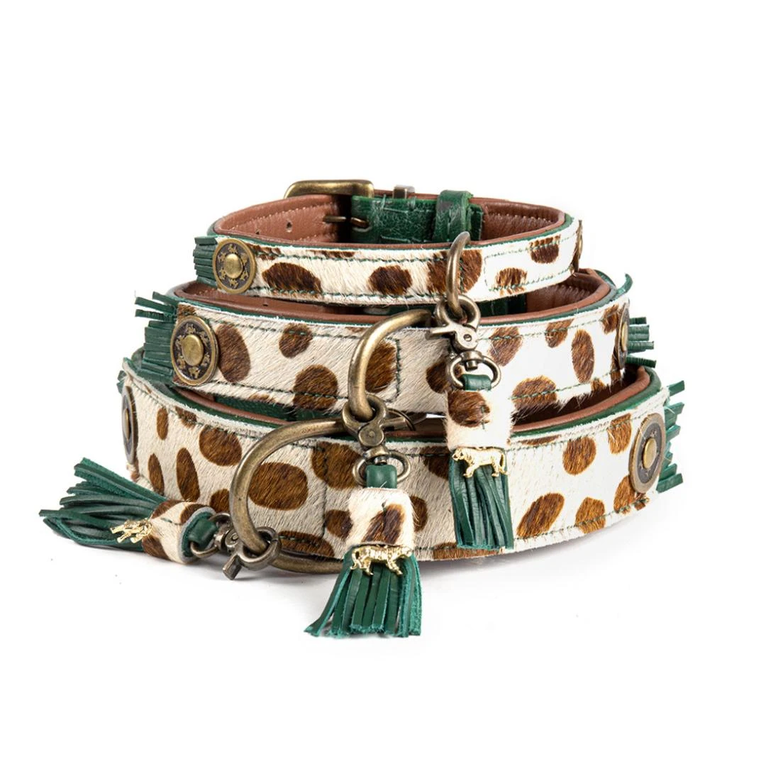 Dog With A Mission Halsband Ivy 1 Dog With A Mission Halsband Ivy