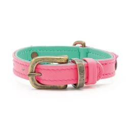 Dog With A Mission Halsband Molly XXXS -Goedkope Dierenwereld XL winkel DWAM SS21 Minidog Molly 3