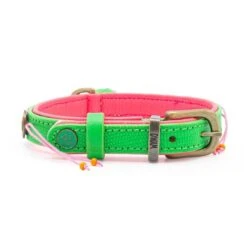 Dog With A Mission Halsband Tropical Summer -Goedkope Dierenwereld XL winkel DWAM SS22 Beads TropicalSummer S3