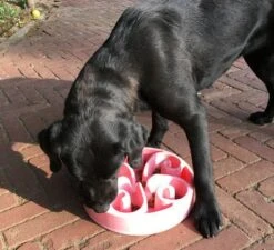 Eat Slow Live Longer Voerbak Original Pink -Goedkope Dierenwereld XL winkel EATS008 3