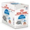 Royal Canin Kattenvoer Indoor 7+ In Gravy 12 X 85 Gr