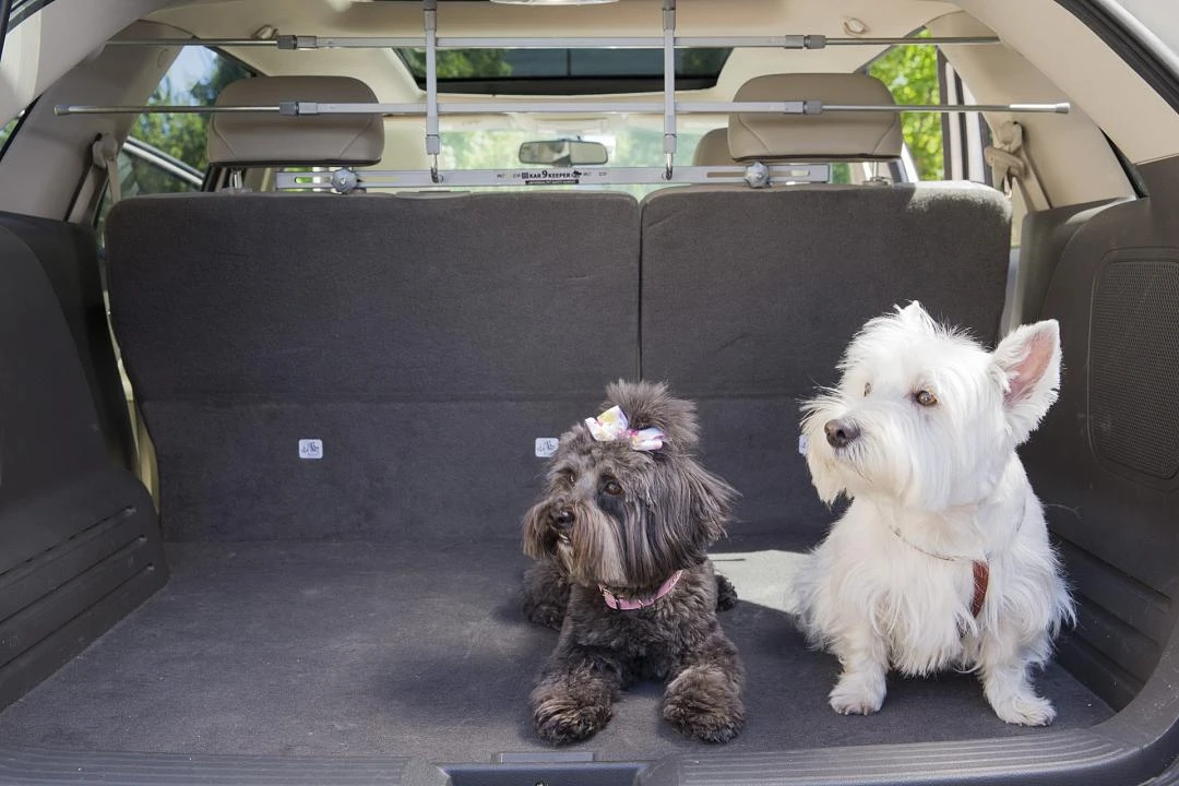 PetEgo K9 Keeper Autorek Zilver 3 PetEgo K9 Keeper Autorek Zilver - Afbeelding 3