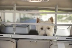 PetEgo K9 Keeper Autorek Zilver 7 PetEgo K9 Keeper Autorek Zilver -Goedkope Dierenwereld XL winkel K9K 8