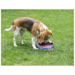 Road Refresher Grijs -Goedkope Dierenwereld XL winkel LGRR 3