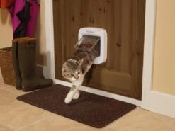 PetSafe Microchip Kattenluik Cat Flap Wit -Goedkope Dierenwereld XL winkel Lifestyle02
