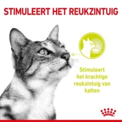 Royal Canin Kattenvoer Sensory Smell In Gravy 12 X 85 Gr -Goedkope Dierenwereld XL winkel RC SPT WET SensSmellCIG CV 1 nl NL