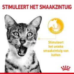 Royal Canin Kattenvoer Sensory Taste In Gravy 12 X 85 Gr 5 Royal Canin Kattenvoer Sensory Taste In Gravy 12 X 85 Gr -Goedkope Dierenwereld XL winkel RC SPT WET SensTasteCIG CV 1 nl NL