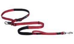 Rogz Utility Hondenlijn Handsfree Red -Goedkope Dierenwereld XL winkel RHLF05C Utility Handsfree Lead XL Red DET1