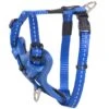 Rogz Beltz Utility Hondentuig Control Blue