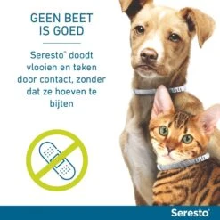 Seresto Band Voor Katten 7 Seresto Band Voor Katten -Goedkope Dierenwereld XL winkel Seresto doodt door contact 1