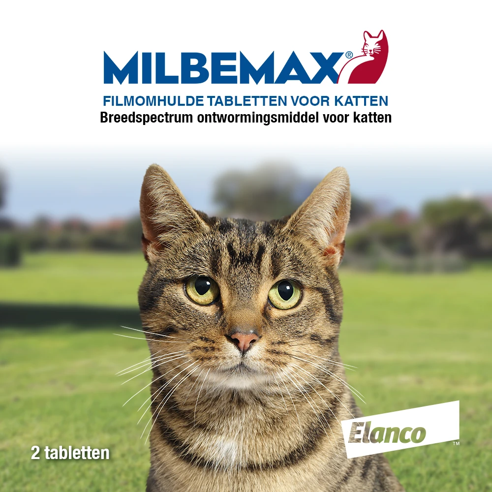 Milbemax Tabletten Kat 2 - 8 Kg 2 St 2 Milbemax Tabletten Kat 2 - 8 Kg 2 St - Afbeelding 2