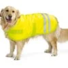 Beeztees Reflecterende Hondenjas
