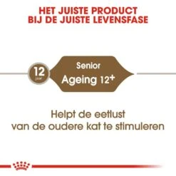 Royal Canin Kattenvoer Ageing 12+ 4 Kg -Goedkope Dierenwereld XL winkel royal canin ageing 12plus senior kat oudere kat vanaf 12 jaar hero image 9