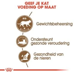 Royal Canin Kattenvoer Ageing Sterilised 12+ 2 Kg -Goedkope Dierenwereld XL winkel royal canin ageing sterilised 12plus senior kat oudere kat vanaf 12 jaar hero usp 1