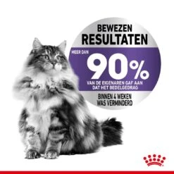 Royal Canin Kattenvoer Appetite Control Care 3,5 Kg -Goedkope Dierenwereld XL winkel royal canin appetite control care gesteriliseerd volwassen kat bedelgedrag hero image 9