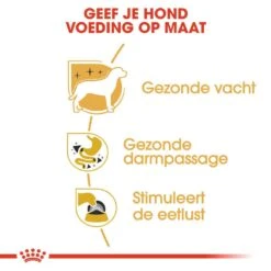 Royal Canin Hondenvoer Chihuahua Adult 12 X 85 Gr -Goedkope Dierenwereld XL winkel royal canin chihuahua adult natvoer volwassen hond chihuahua vanaf 8 maanden hero usp