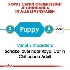 Royal Canin Hondenvoer Chihuahua Puppy 1,5 Kg -Goedkope Dierenwereld XL winkel royal canin chihuahua junior pup hond chihuahua hero image 9