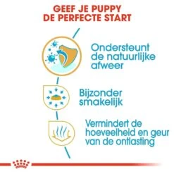 Royal Canin Hondenvoer Chihuahua Puppy 1,5 Kg -Goedkope Dierenwereld XL winkel royal canin chihuahua junior pup hond chihuahua hero usp