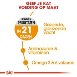 Royal Canin Kattenvoer Hair & Skin Care 4 Kg -Goedkope Dierenwereld XL winkel royal canin hair skin care volwassen kat vacht en huid hero usp