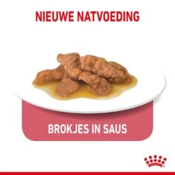 Royal Canin Kattenvoer Indoor 7+ In Gravy 12 X 85 Gr -Goedkope Dierenwereld XL winkel royal canin indoor sterilised 7plus gravy volwassen kat binnenkatten hero kibble