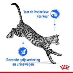 Royal Canin Kattenvoer Indoor In Gravy 12 X 85 Gr -Goedkope Dierenwereld XL winkel royal canin indoor sterilised gravy volwassen kat binnenkatten hero usp 1