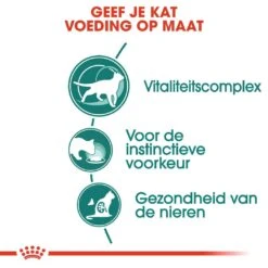 Royal Canin Kattenvoer Instinctive 7+ In Gravy 12 X 85 Gr -Goedkope Dierenwereld XL winkel royal canin instinctive 7plus in gravy volwassen kat kieskeurige katten hero usp
