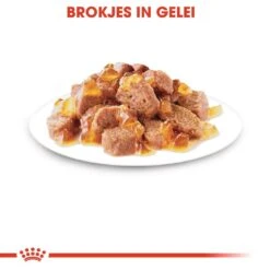 Royal Canin Kattenvoer Instinctive In Jelly 12 X 85 Gr -Goedkope Dierenwereld XL winkel royal canin instinctive in jelly volwassen kat kieskeurige katten hero kibble