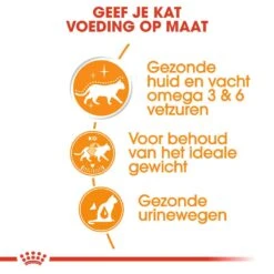 Royal Canin Kattenvoer Intense Beauty In Gravy 12 X 85 Gr -Goedkope Dierenwereld XL winkel royal canin intense beauty in gravy volwassen kat vacht en huid hero usp