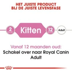 Royal Canin Kattenvoer Kitten 2 Kg 7 Royal Canin Kattenvoer Kitten 2 Kg -Goedkope Dierenwereld XL winkel royal canin kitten kitten kat groeifase hero image 8