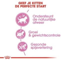 Royal Canin Kattenvoer Kitten Sterilised 3,5 Kg -Goedkope Dierenwereld XL winkel royal canin kitten sterilised kitten kat castratie sterilisatie hero usp 1
