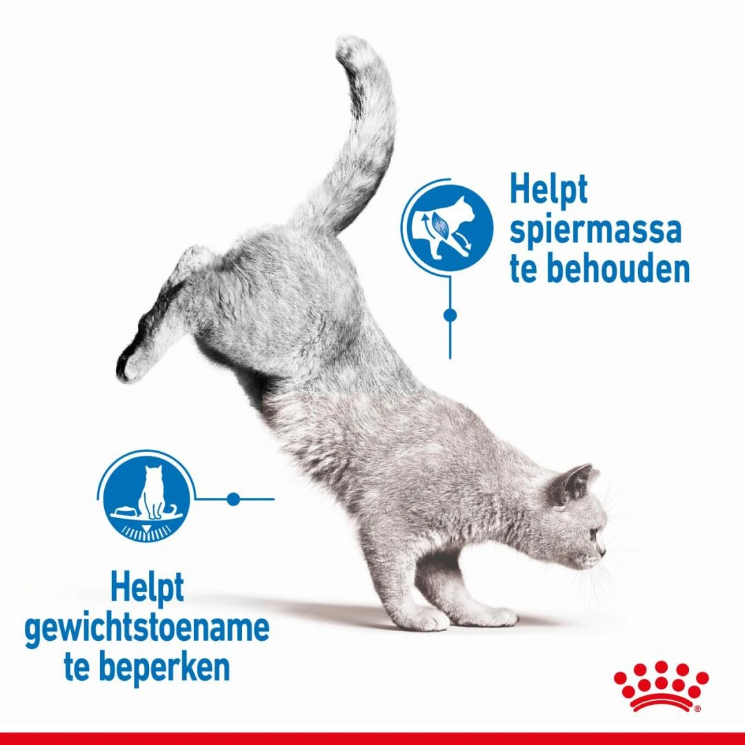 Royal Canin Kattenvoer Ultra Light In Gravy 12 X 85 Gr 4 Royal Canin Kattenvoer Ultra Light In Gravy 12 X 85 Gr - Afbeelding 4