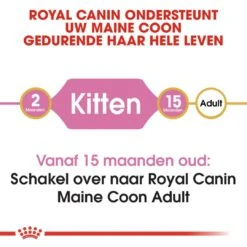 Royal Canin Kattenvoer Maine Coon Kitten 2 Kg -Goedkope Dierenwereld XL winkel royal canin maine coon kitten kitten kat maine coon hero image 8