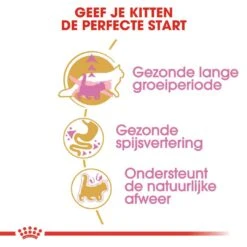 Royal Canin Kattenvoer Maine Coon Kitten 2 Kg -Goedkope Dierenwereld XL winkel royal canin maine coon kitten kitten kat maine coon hero usp