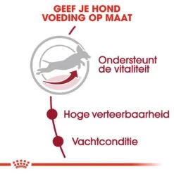 Royal Canin Hondenvoer Medium Adult 7+ 4 Kg -Goedkope Dierenwereld XL winkel royal canin medium adult 7plus volwassen hond middelgrote hondenrassen vanaf 7 jaar hero usp