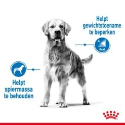 Royal Canin Hondenvoer Light Weight Care Medium 3 Kg 6 Royal Canin Hondenvoer Light Weight Care Medium 3 Kg -Goedkope Dierenwereld XL winkel royal canin medium light weight care volwassen hond gewicht middelgrote hondenrassen hero image 8