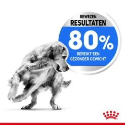 Royal Canin Hondenvoer Light Weight Care Medium 3 Kg 7 Royal Canin Hondenvoer Light Weight Care Medium 3 Kg -Goedkope Dierenwereld XL winkel royal canin medium light weight care volwassen hond gewicht middelgrote hondenrassen hero usp