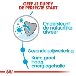 Royal Canin Hondenvoer Medium Puppy 4 Kg -Goedkope Dierenwereld XL winkel royal canin medium puppy pup hond middelgrote hondenrassen hero usp