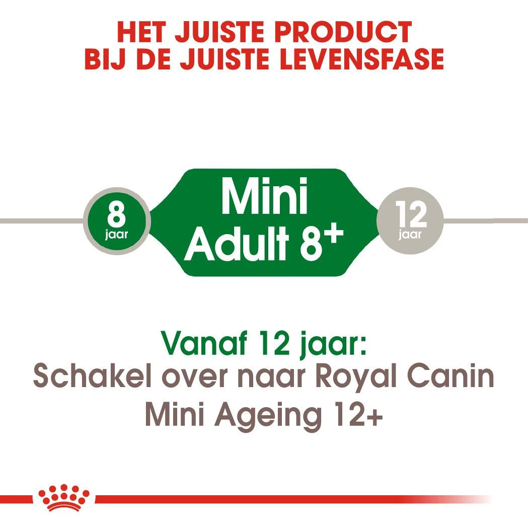 Royal Canin Hondenvoer Mini Adult 8+ 2 Kg 4 Royal Canin Hondenvoer Mini Adult 8+ 2 Kg - Afbeelding 4