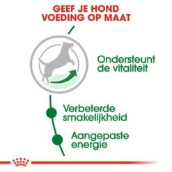 Royal Canin Hondenvoer Mini Adult 8+ 2 Kg 6 Royal Canin Hondenvoer Mini Adult 8+ 2 Kg -Goedkope Dierenwereld XL winkel royal canin mini adult 8plus volwassen hond kleine hondenrassen vanaf 8 jaar hero usp