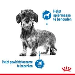 Royal Canin Hondenvoer Light Weight Care Mini 3 Kg -Goedkope Dierenwereld XL winkel royal canin mini light weight care volwassen hond gezond gewicht kleine hondenrassen hero image 8
