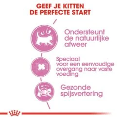 Royal Canin Kattenvoer Mother & Babycat 2 Kg -Goedkope Dierenwereld XL winkel royal canin mother babycat kitten kat moederpoes hero usp